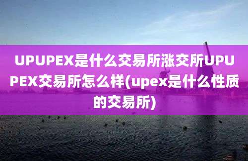 UPUPEX是什么交易所涨交所UPUPEX交易所怎么样(upex是什么性质的交易所)