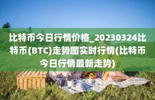 比特币今日行情价格_20230324比特币(BTC)走势图实时行情(比特币今日行情最新走势)