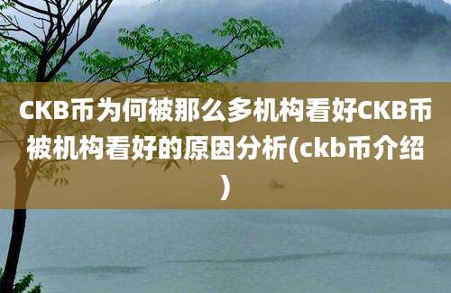 CKB币为何被那么多机构看好CKB币被机构看好的原因分析(ckb币介绍)