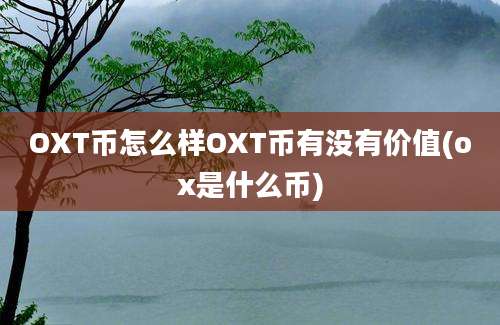 OXT币怎么样OXT币有没有价值(ox是什么币)