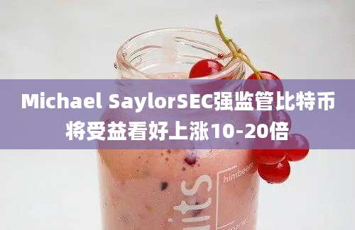 Michael SaylorSEC强监管比特币将受益看好上涨10-20倍