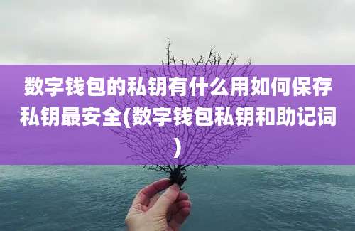 数字钱包的私钥有什么用如何保存私钥最安全(数字钱包私钥和助记词)