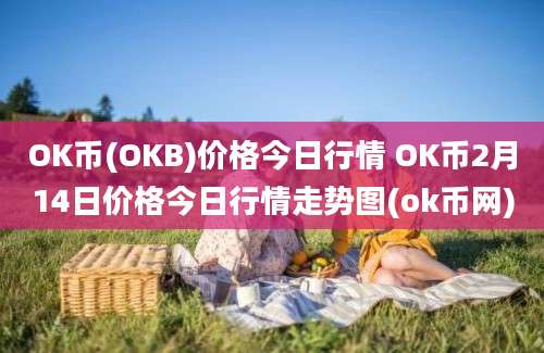 OK币(OKB)价格今日行情 OK币2月14日价格今日行情走势图(ok币网)