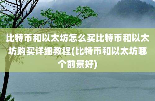 比特币和以太坊怎么买比特币和以太坊购买详细教程(比特币和以太坊哪个前景好)