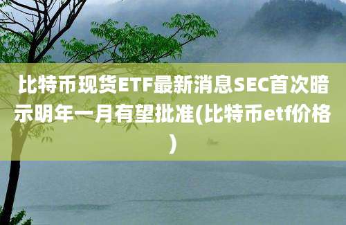 比特币现货ETF最新消息SEC首次暗示明年一月有望批准(比特币etf价格)