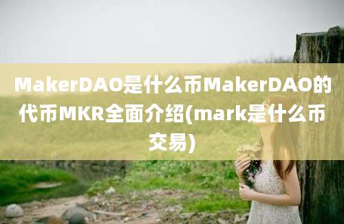 MakerDAO是什么币MakerDAO的代币MKR全面介绍(mark是什么币交易)