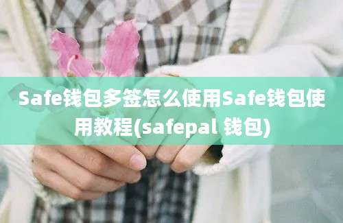 Safe钱包多签怎么使用Safe钱包使用教程(safepal 钱包)