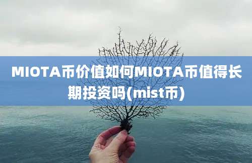 MIOTA币价值如何MIOTA币值得长期投资吗(mist币)