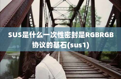 SUS是什么一次性密封是RGBRGB协议的基石(sus1)