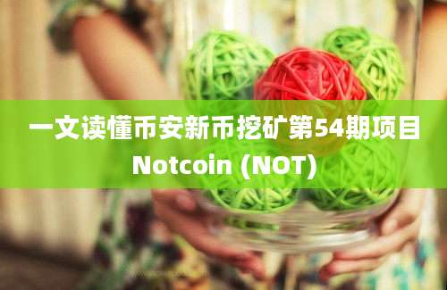 一文读懂币安新币挖矿第54期项目Notcoin (NOT)