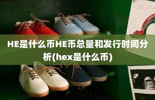 HE是什么币HE币总量和发行时间分析(hex是什么币)