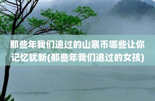 那些年我们追过的山寨币哪些让你记忆犹新(那些年我们追过的女孩)