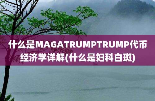 什么是MAGATRUMPTRUMP代币经济学详解(什么是妇科白斑)