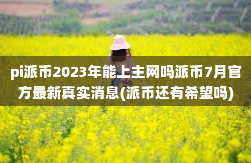 pi派币2023年能上主网吗派币7月官方最新真实消息(派币还有希望吗)