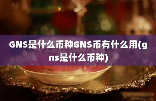 GNS是什么币种GNS币有什么用(gns是什么币种)