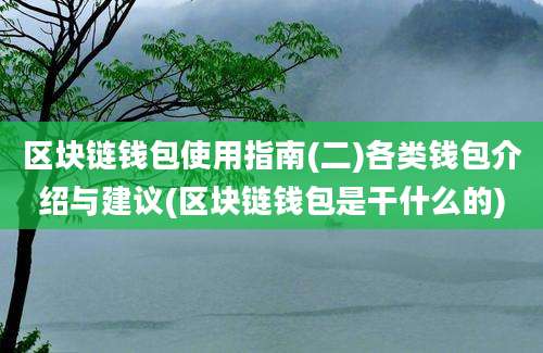 区块链钱包使用指南(二)各类钱包介绍与建议(区块链钱包是干什么的)