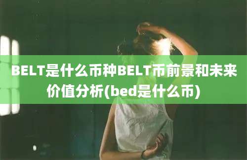 BELT是什么币种BELT币前景和未来价值分析(bed是什么币)