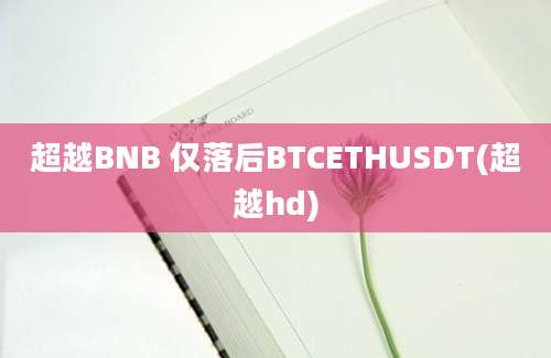 超越BNB 仅落后BTCETHUSDT(超越hd)