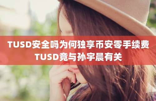 TUSD安全吗为何独享币安零手续费TUSD竟与孙宇晨有关