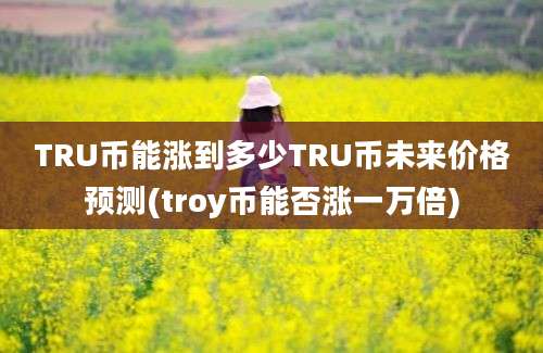 TRU币能涨到多少TRU币未来价格预测(troy币能否涨一万倍)