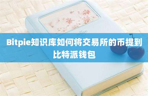 Bitpie知识库如何将交易所的币提到比特派钱包