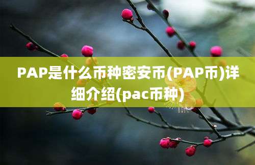 PAP是什么币种密安币(PAP币)详细介绍(pac币种)