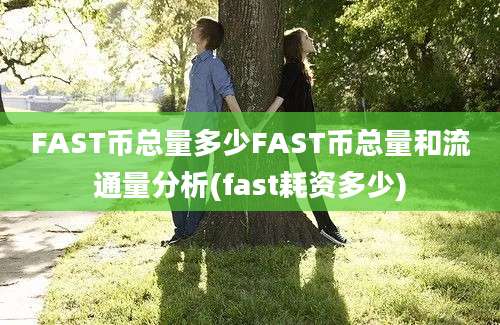 FAST币总量多少FAST币总量和流通量分析(fast耗资多少)