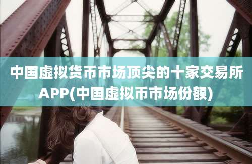 中国虚拟货币市场顶尖的十家交易所APP(中国虚拟币市场份额)