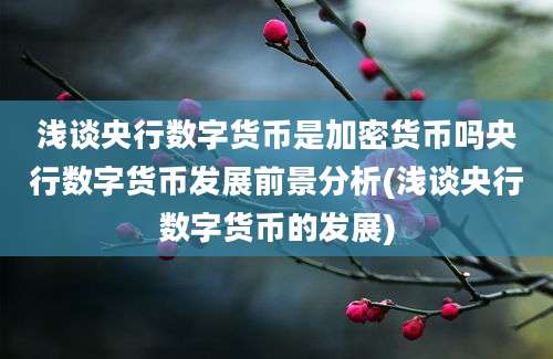 浅谈央行数字货币是加密货币吗央行数字货币发展前景分析(浅谈央行数字货币的发展)