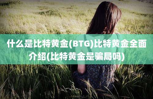 什么是比特黄金(BTG)比特黄金全面介绍(比特黄金是骗局吗)