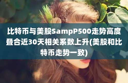 比特币与美股SampP500走势高度叠合近30天相关系数上升(美股和比特币走势一致)