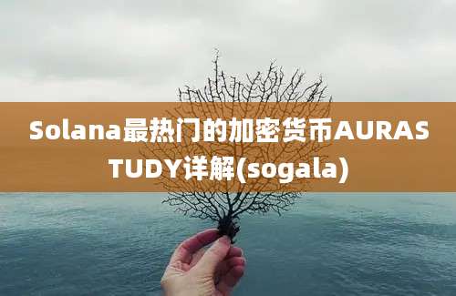 Solana最热门的加密货币AURASTUDY详解(sogala)