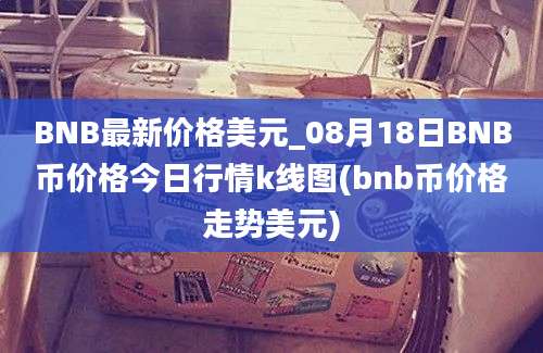 BNB最新价格美元_08月18日BNB币价格今日行情k线图(bnb币价格走势美元)