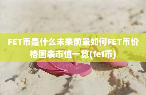 FET币是什么未来前景如何FET币价格图表市值一览(fef币)