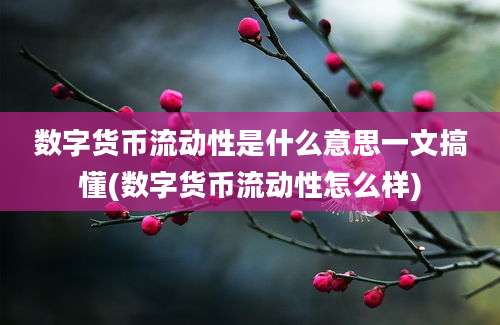 数字货币流动性是什么意思一文搞懂(数字货币流动性怎么样)