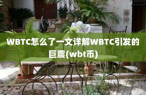 WBTC怎么了一文详解WBTC引发的巨震(wbt币)