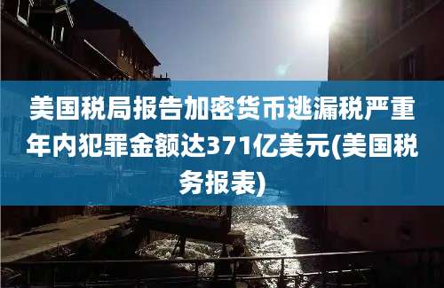 美国税局报告加密货币逃漏税严重年内犯罪金额达371亿美元(美国税务报表)