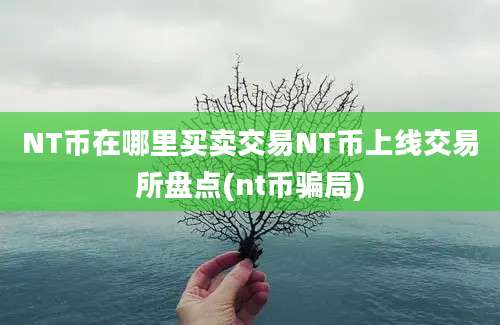 NT币在哪里买卖交易NT币上线交易所盘点(nt币骗局)