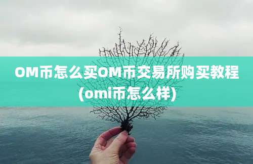 OM币怎么买OM币交易所购买教程(omi币怎么样)