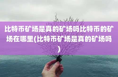 比特币矿场是真的矿场吗比特币的矿场在哪里(比特币矿场是真的矿场吗)