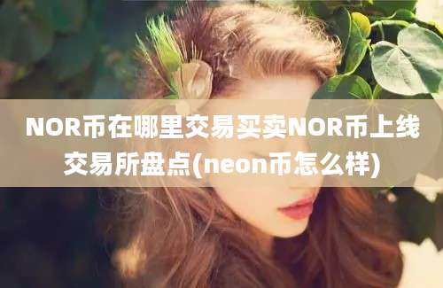 NOR币在哪里交易买卖NOR币上线交易所盘点(neon币怎么样)