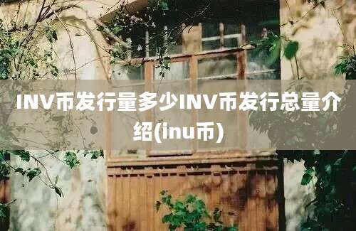 INV币发行量多少INV币发行总量介绍(inu币)