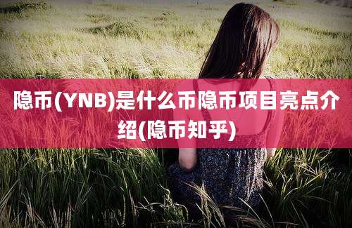 隐币(YNB)是什么币隐币项目亮点介绍(隐币知乎)