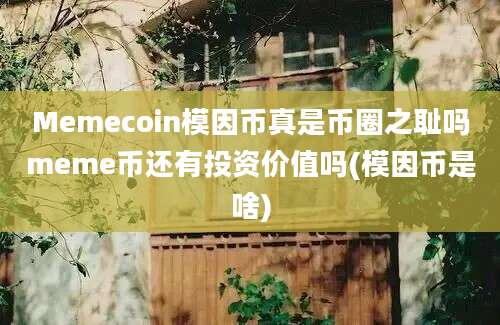 Memecoin模因币真是币圈之耻吗meme币还有投资价值吗(模因币是啥)