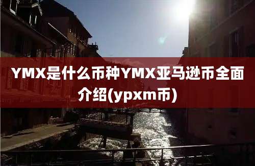 YMX是什么币种YMX亚马逊币全面介绍(ypxm币)