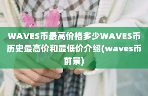 WAVES币最高价格多少WAVES币历史最高价和最低价介绍(waves币前景)