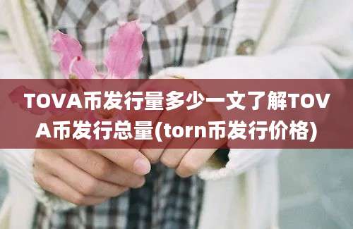 TOVA币发行量多少一文了解TOVA币发行总量(torn币发行价格)