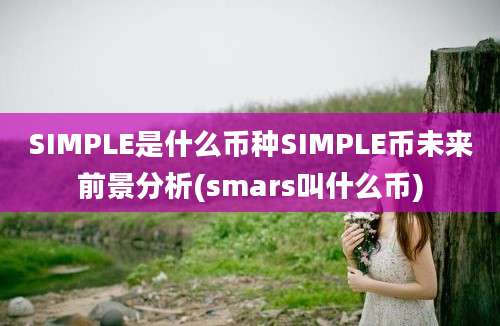 SIMPLE是什么币种SIMPLE币未来前景分析(smars叫什么币)