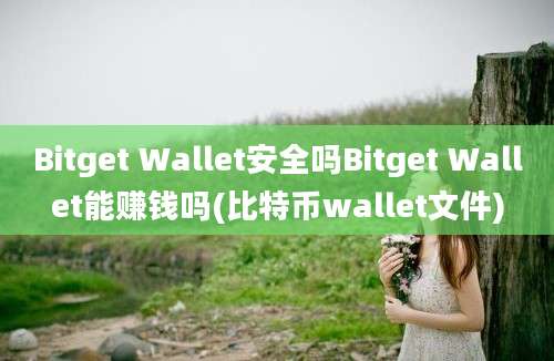 Bitget Wallet安全吗Bitget Wallet能赚钱吗(比特币wallet文件)