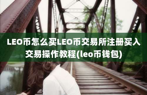 LEO币怎么买LEO币交易所注册买入交易操作教程(leo币钱包)